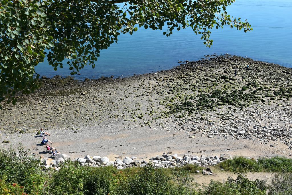 Motel Et Chalets Bo-Fleuve Evangeline Saint-Siméon エクステリア 写真